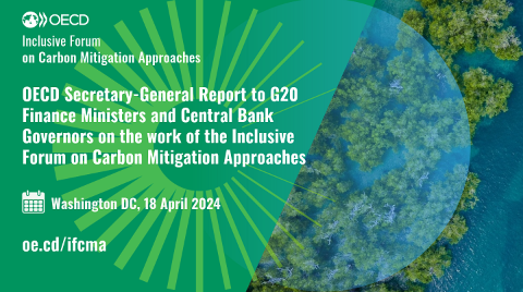 Flyer G20 Report - Washington DC - 18 April 2024